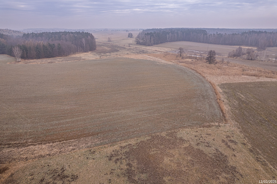 węzeł